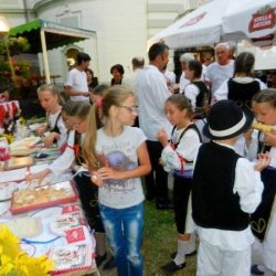 banatska bajka