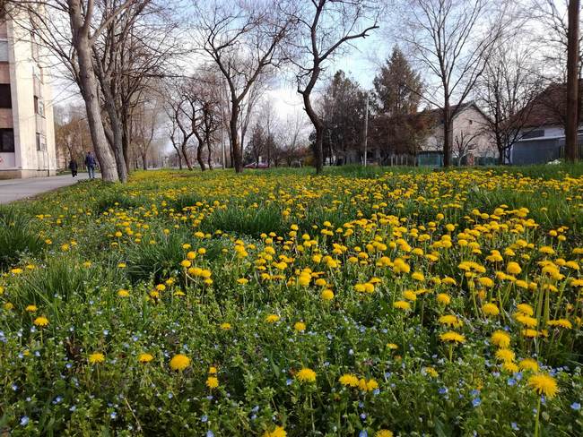 vreme maj 2018