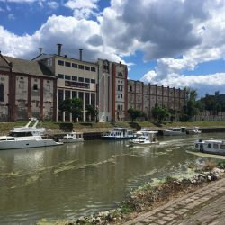 regata vode vojvodine 2018 1