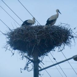 DSCN1765