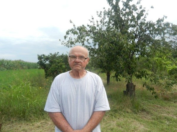 Trovanje pčela na suncokretovoj paši veliki problem pčelara u Vojvodini 9 DSCN1785