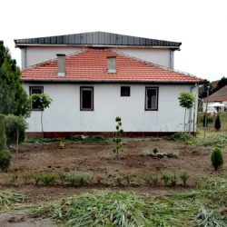 naslovna petefi