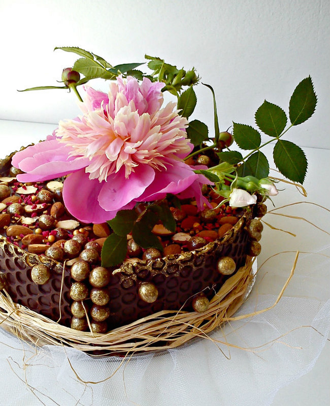 reform torta2