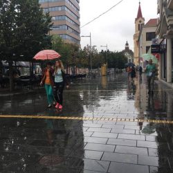 zrenjanin kisa