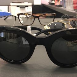Optika Piljak 17