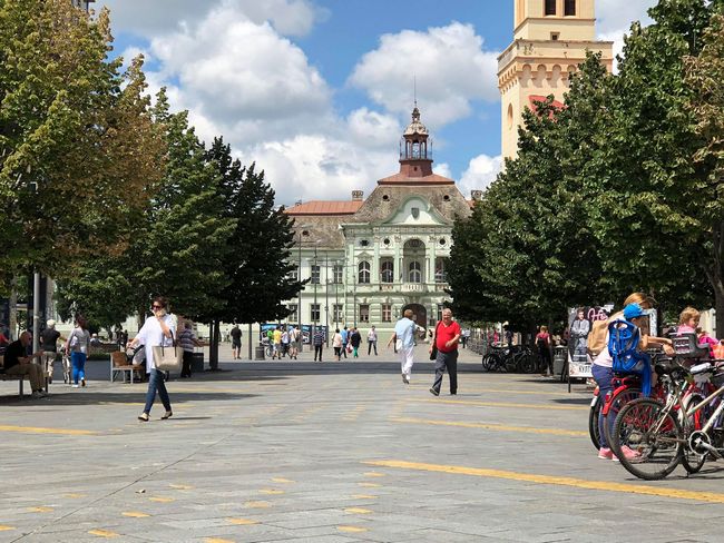 penzionerske kartice zrenjanin