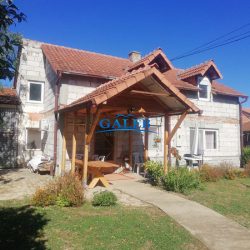 1 kuce zeleno polje prodaja