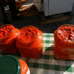DSCN3848