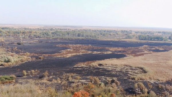 carska bara posle pozara 2