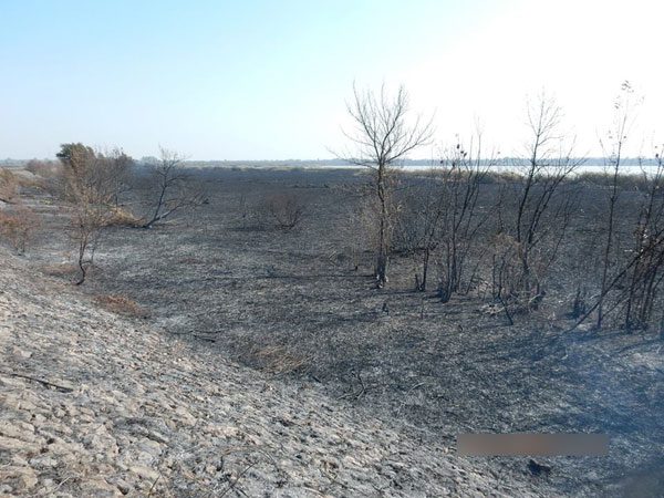 carska bara posle pozara 6