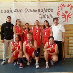 hendi sport odbojka