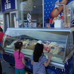 ice dream posao