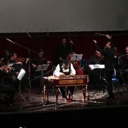 kamerni orkestar