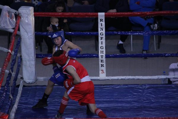 petrovgrad kup boks 2018