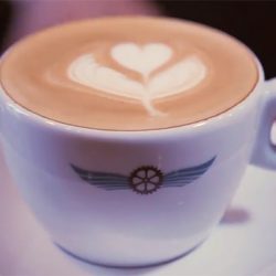 basic bar kafa