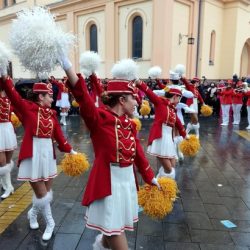 naslovna zrenjanin mimoza