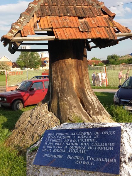topola fk borac