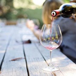 vino