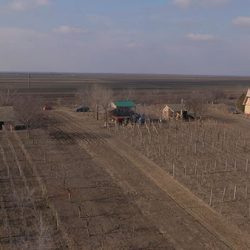 vinograd
