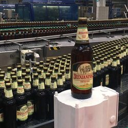 zrenjaninsko pivo celarevo