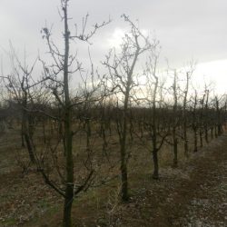 DSCN5058