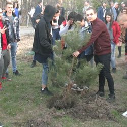 park prijateljstva botos
