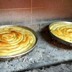 pite ispod saca zrenjanin1 1