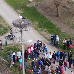 roda prvoje 1