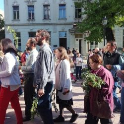 naslovna vrbica zrenjanin