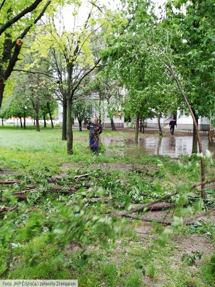 nevreme zrenjanin3 jkp cistoca zelenilo1