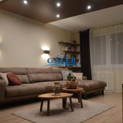 1 lux renoviran dvosoban zrenjanin