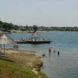 DSCN8879
