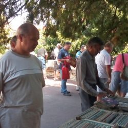 berza gramofonskih ploca zrenjanin3