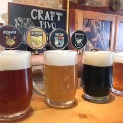 nomad kraft pivo zrenjanin 2019