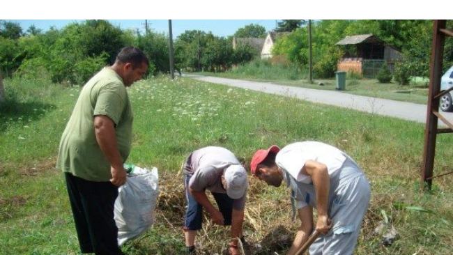 angazovanje socijalnih slucajeva 1