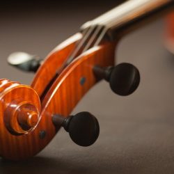 art blur bowed instrument 165973