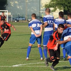 fk radnicki vojvodina perlez 1