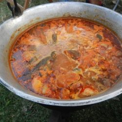 DSCN2294