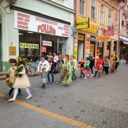 kolona 1