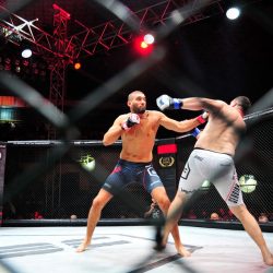 mma