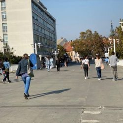 zrenjanin anketa