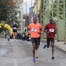 zrenjaninski polumaraton 2019 6