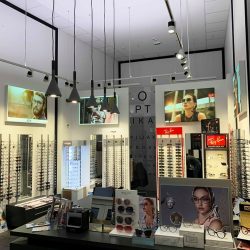 optika piljak 2019