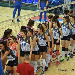 zok klek beograd 2019 1