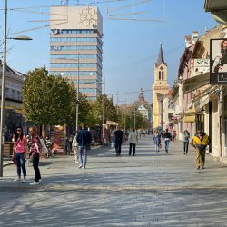 zrenjanin potrosaci