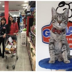 gama pet shop rodjendanski popust