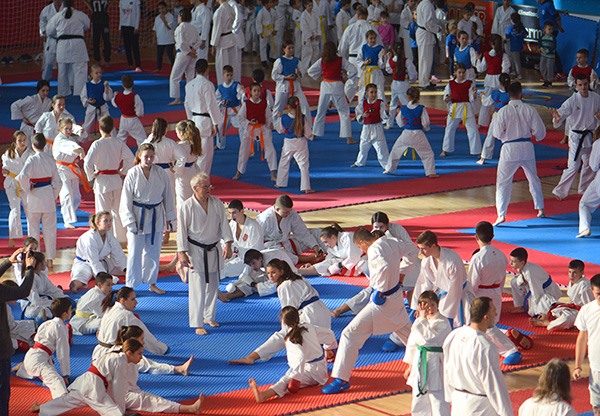 karate seminar 10