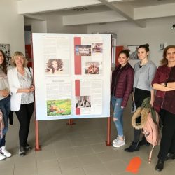 medicinska skola zrenjanin casopis ars medica