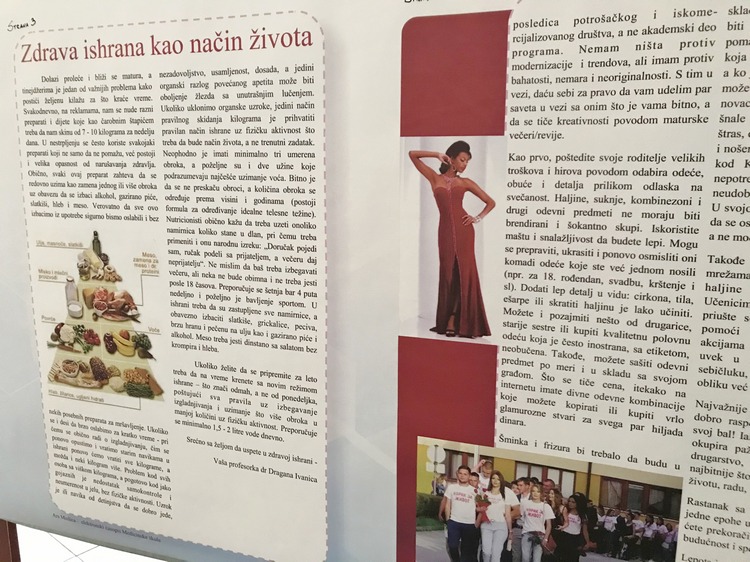 medicinska skola zrenjanin casopis ars medica5