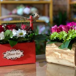 plavi iris flower box
